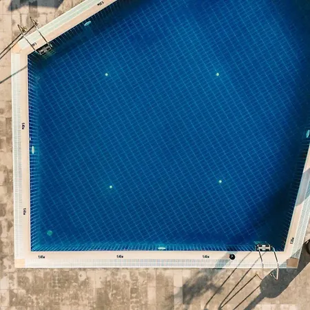 Continental 4* Золотые Пески